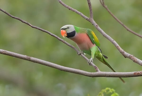 2024011321758310.jpeg 4.jpeg