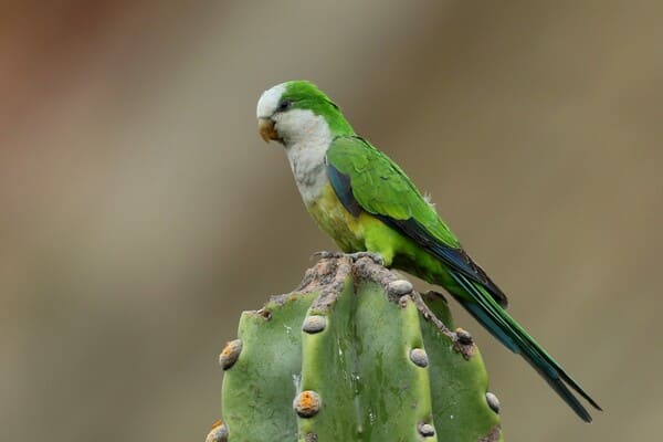 2024011331533811.jpeg 5.jpeg