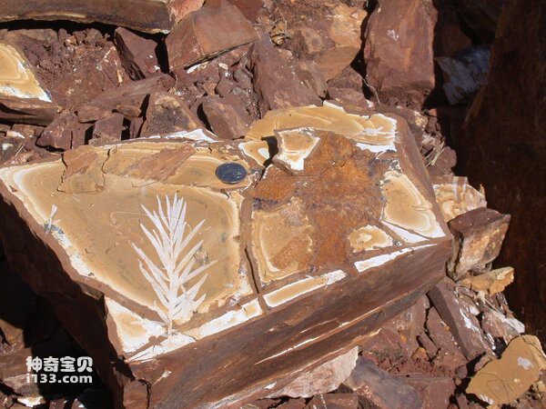 2024012315636431.jpg 2.jpg