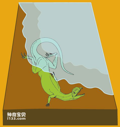 2024012316478261.jpg 3.jpg