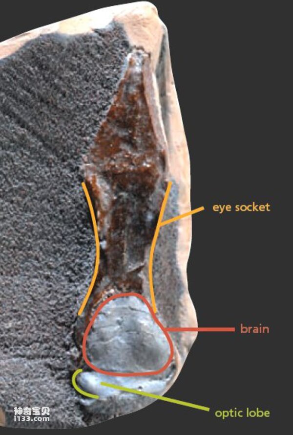 2024012610405592.jpg 8.jpg