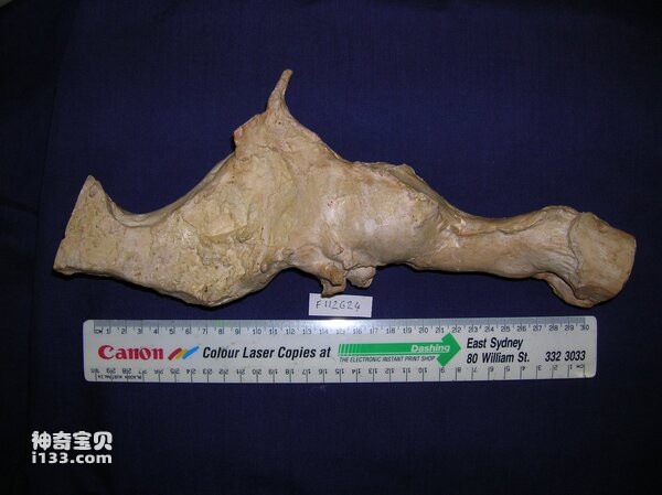 2024012610571527.jpg 7.jpg