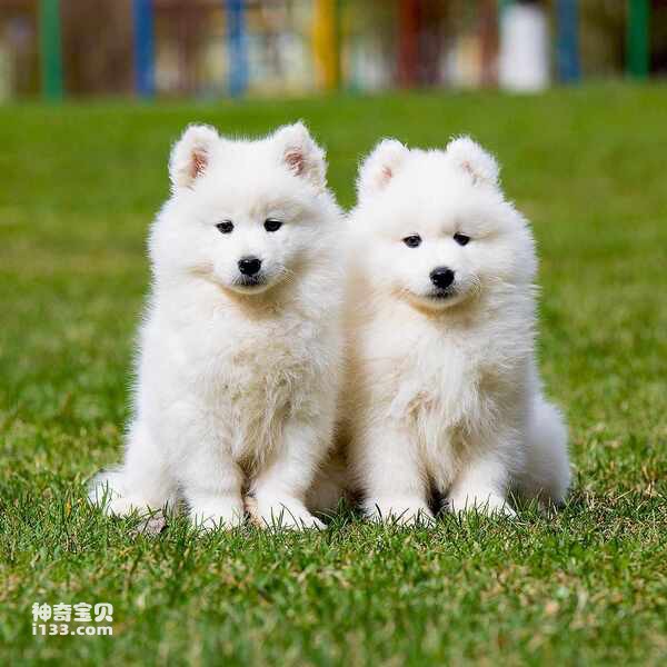 2024020316161379.jpg 9.jpg