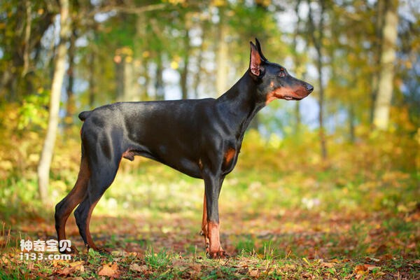 2024020316276320.jpg 8.jpg