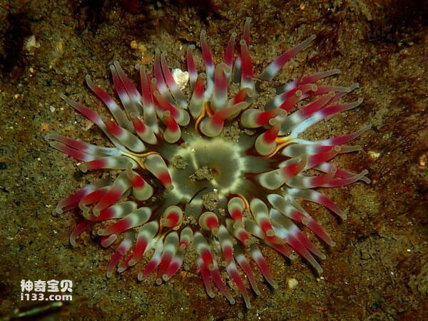 2024021810804279.jpg 4.jpg