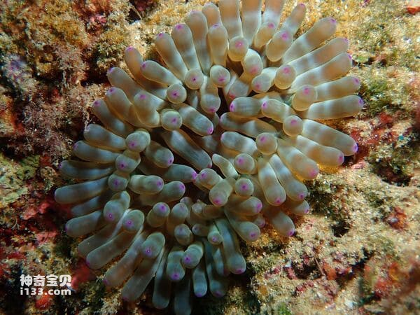 2024021857087264.jpg 5.jpg