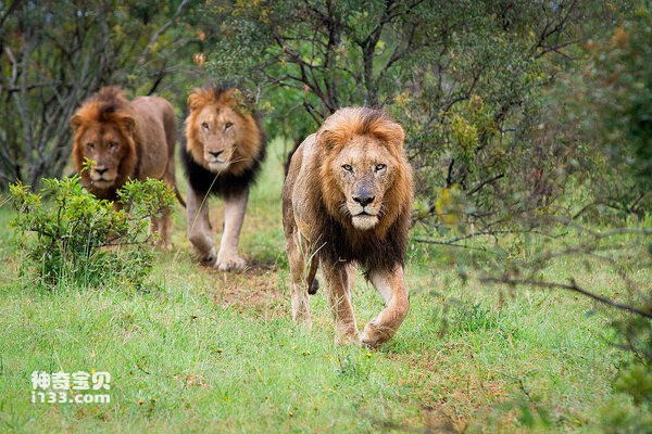 2024021912471686.jpg 5.jpg