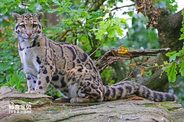 2024021919112078.jpg 8.jpg