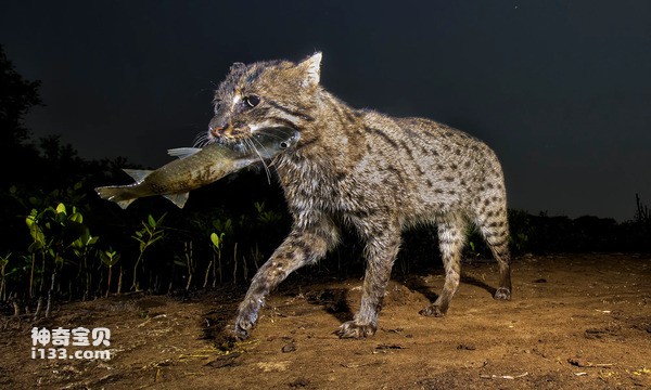 2024021941356030.jpg 10.jpg