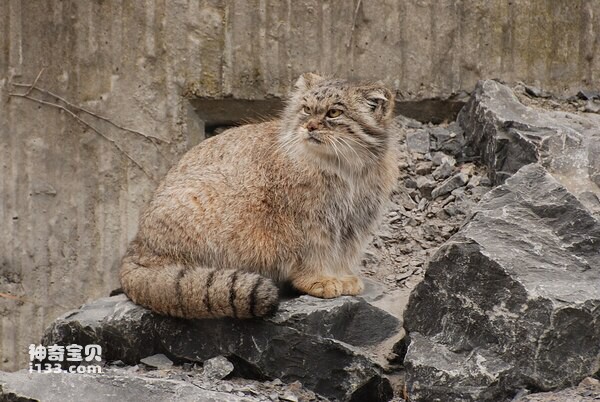 2024021980625613.jpg 7.jpg