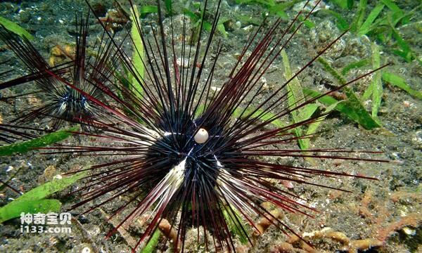 2024022211844204.jpg 6.jpg