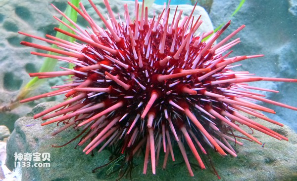 2024022216210506.jpg 10.jpg