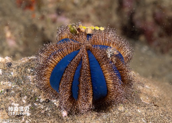 2024022246583170.jpg 4.jpg