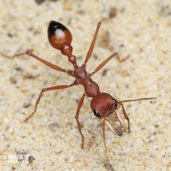 2024022748627127.jpg large.jpg