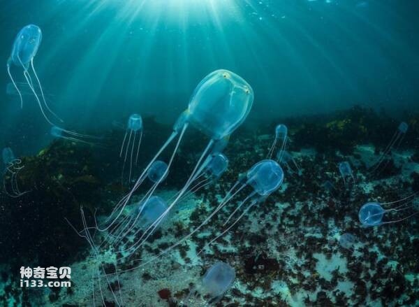 2024022911495862.jpg 3.jpg