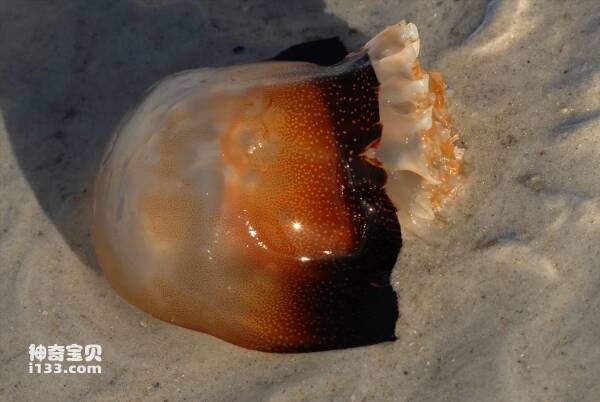 2024022919202823.jpg 9.jpg