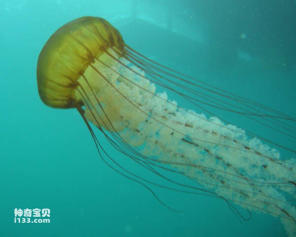 2024022919596062.jpg 10.jpg