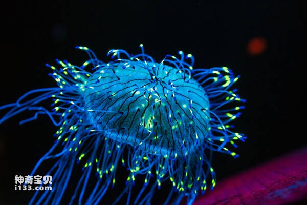 2024022942335335.jpg 5.jpg