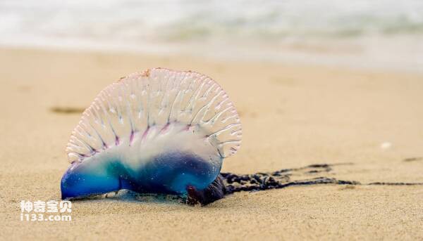 2024022951325835.jpg 4.jpg