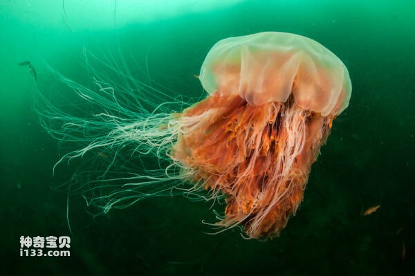 2024022956285923.jpg 8.jpg