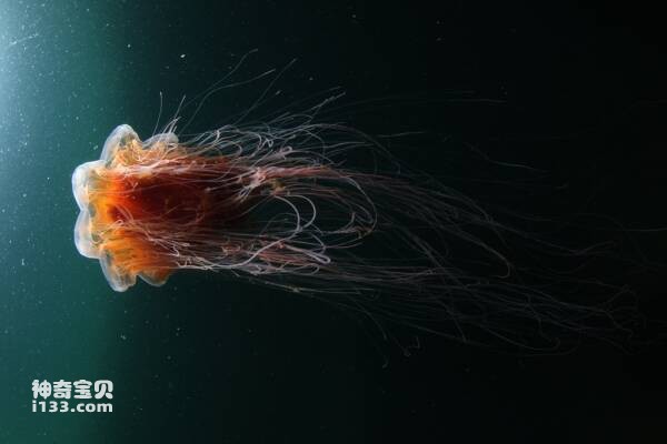 2024022962438252.jpg 7.jpg