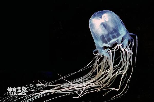 2024022972169676.jpg 1.jpg