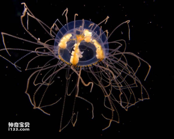 2024022983450273.jpg 6.jpg