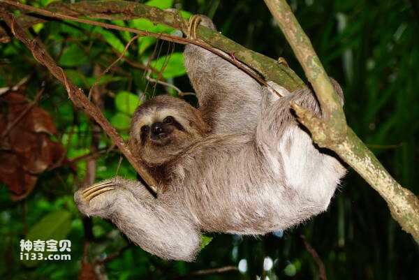 2024030416836059.jpg 10(1).jpg