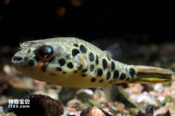 2024030510914419.jpg 7.jpg