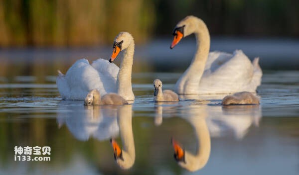 2024030516536986.jpg 3.jpg