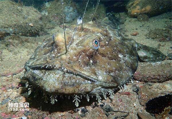 2024030517450429.jpg 10.jpg