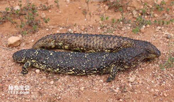 2024030520062842.jpg 2.jpg