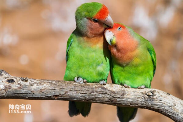 2024030599031142.jpg 4.jpg