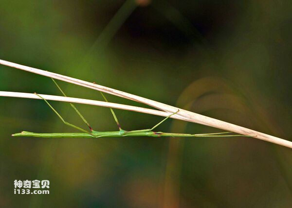 2024030665301019.jpg 7.jpg