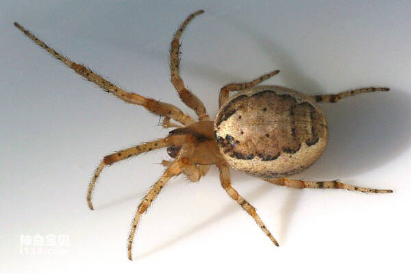 2024030918163063.jpg 10.jpg