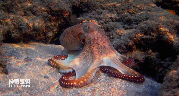 2024030919771789.jpg 6.jpg