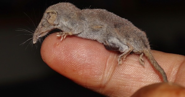 2024031030528274.jpeg 15.jpeg