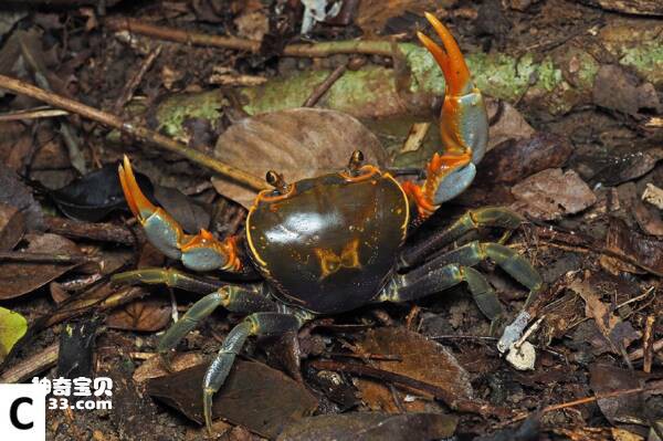 2024031210414870.jpg 2024031217121827.jpg