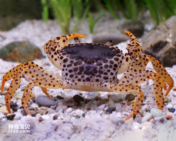 2024031211939897.jpg 2.jpg