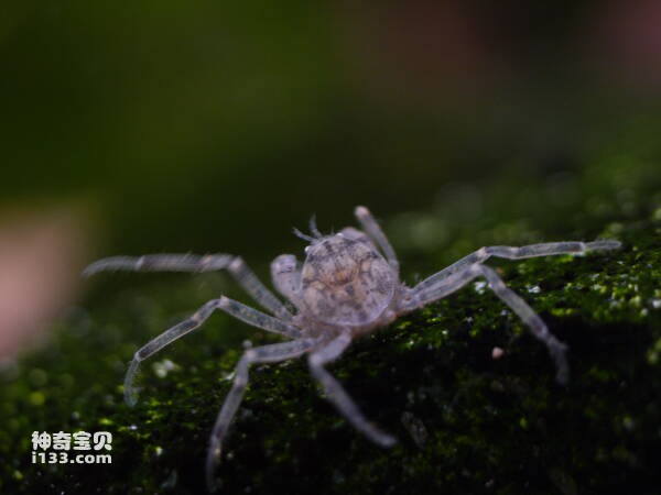 2024031212145432.jpg 8.jpg