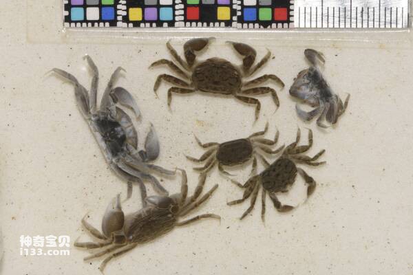 2024031216443612.jpg 9.jpg