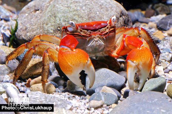 2024031216650293.jpg 10.jpg