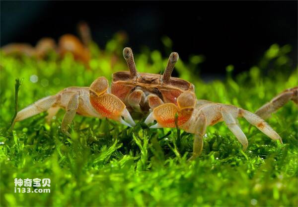 2024031217343224.jpg 112.jpg