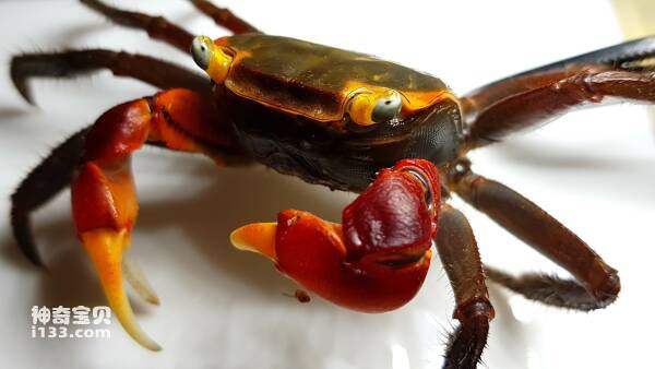 2024031218784140.jpg 11.jpg