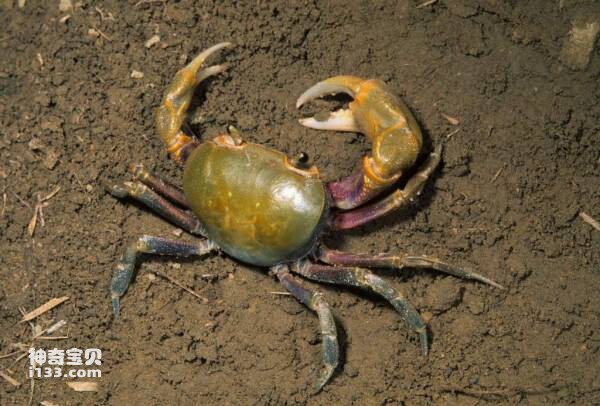 2024031220577477.jpg 33.jpg