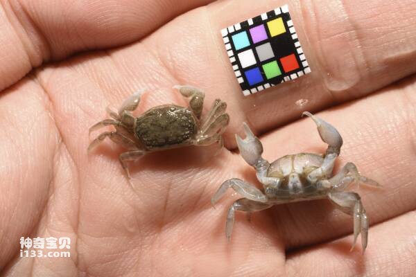 2024031221244342.jpg 99.jpg