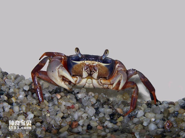 2024031221379728.jpg 6.jpg