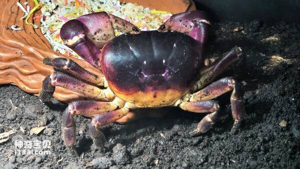 2024031223310291.jpg 7.jpg