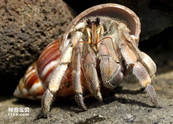 2024031238862957.jpg 55.jpg