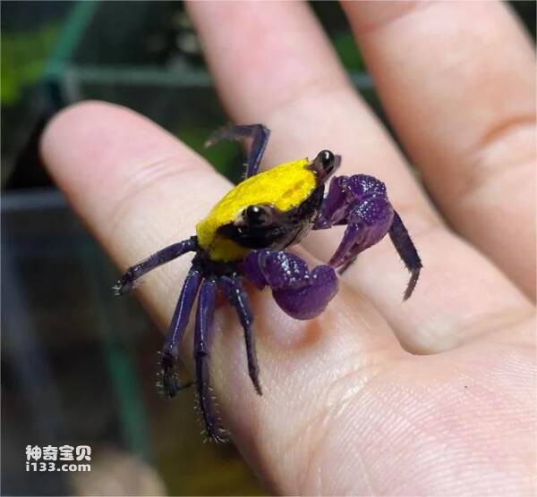 2024031252586944.jpg 444.jpg